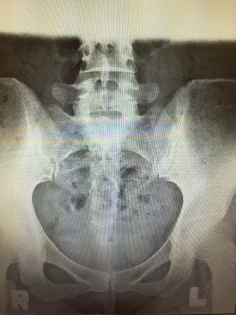 ���Ճ����g�Q���ʐ^